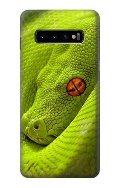 W0785 Serpent vert Etui Coque Housse et Flip Housse Cuir pour Samsung Galaxy S10 Plus