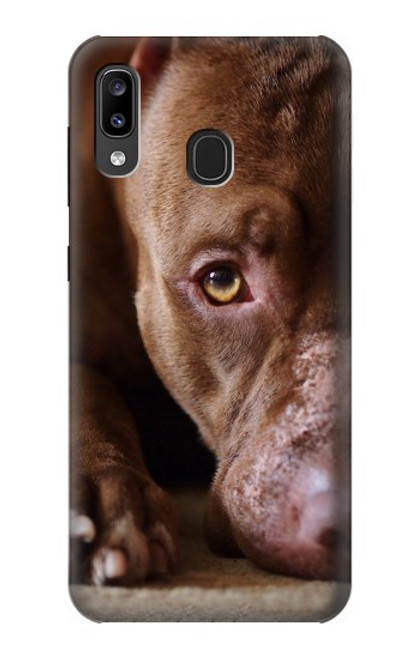 W0519 PitBull Visage Etui Coque Housse et Flip Housse Cuir pour Samsung Galaxy A20, Galaxy A30