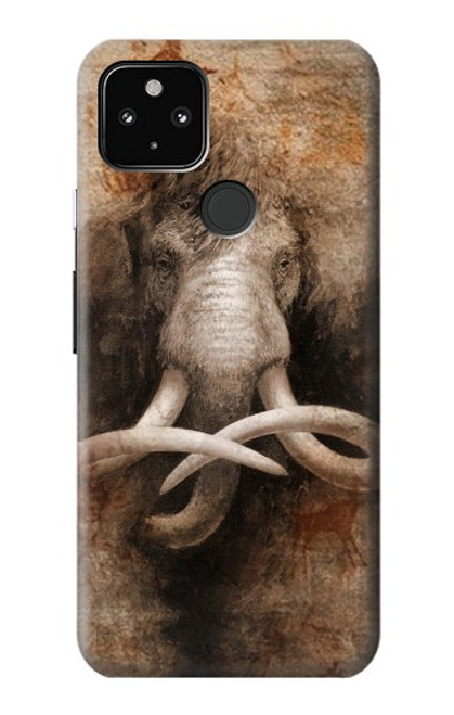 W3427 Mammoth Ancient Art la Grotte Etui Coque Housse et Flip Housse Cuir pour Google Pixel 4a 5G