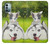 W3795 Peinture Husky Sibérien Ludique Chaton Grincheux Etui Coque Housse et Flip Housse Cuir pour Nokia G11, G21