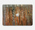 W3380 Gustav Klimt Bouleau Forêt Etui Coque Housse pour MacBook Air 13″ (2022,2024) - A2681, A3113