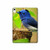 W3839 Oiseau bleu du bonheur Oiseau bleu Tablet Etui Coque Housse pour iPad 10.9 (2022)