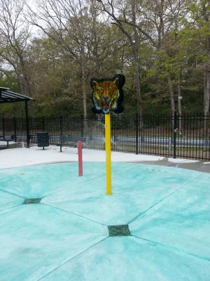 Tiger Column