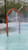 Aqua Arch