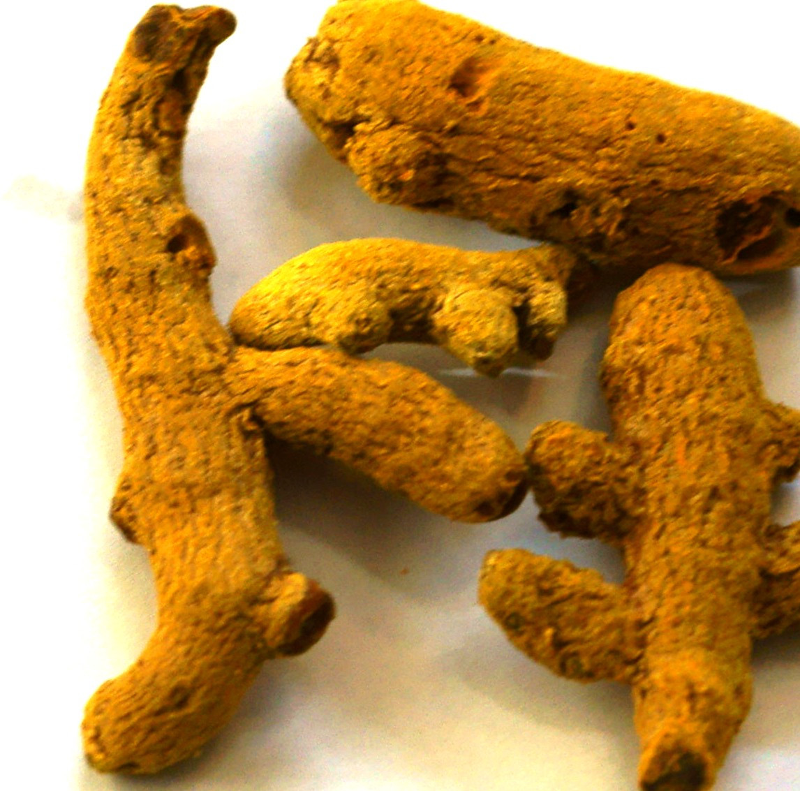 Turmeric Root Fingers