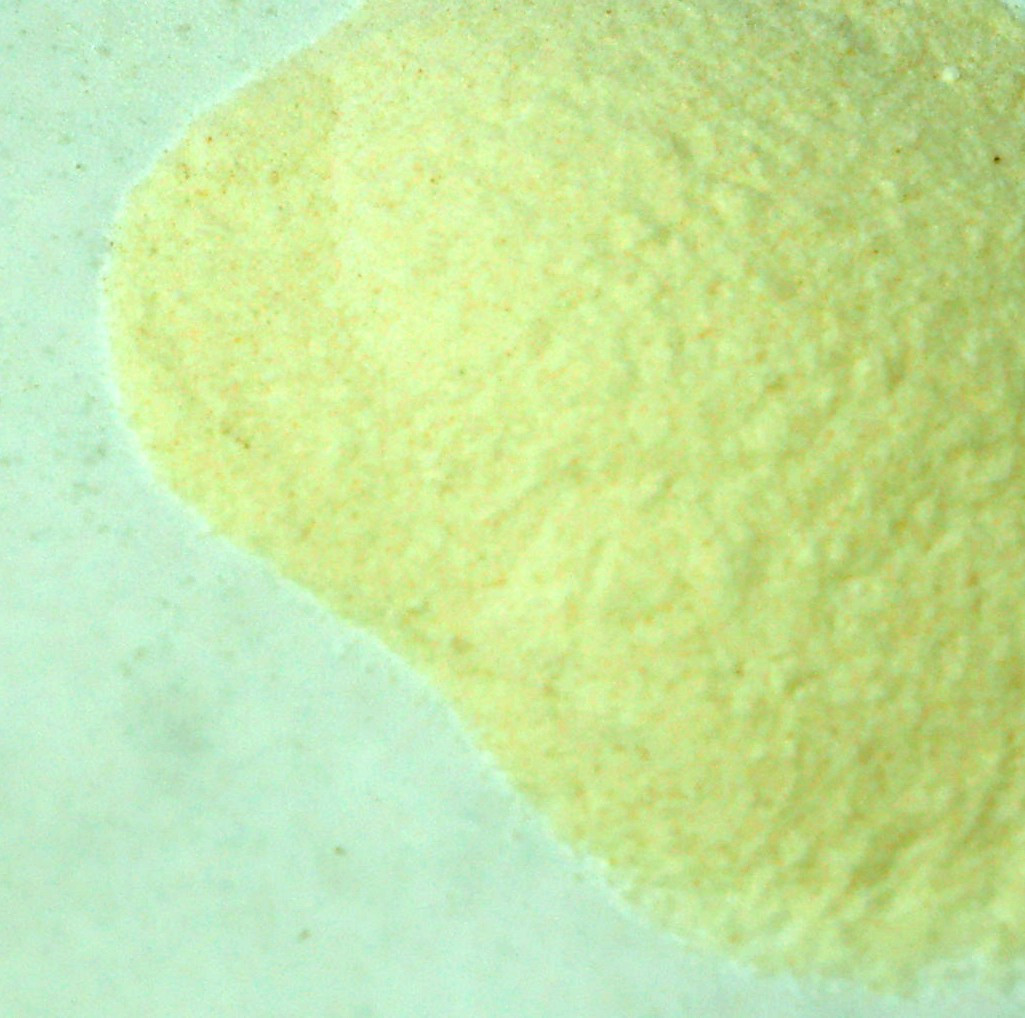 Bromelain Powder 3200 GDU