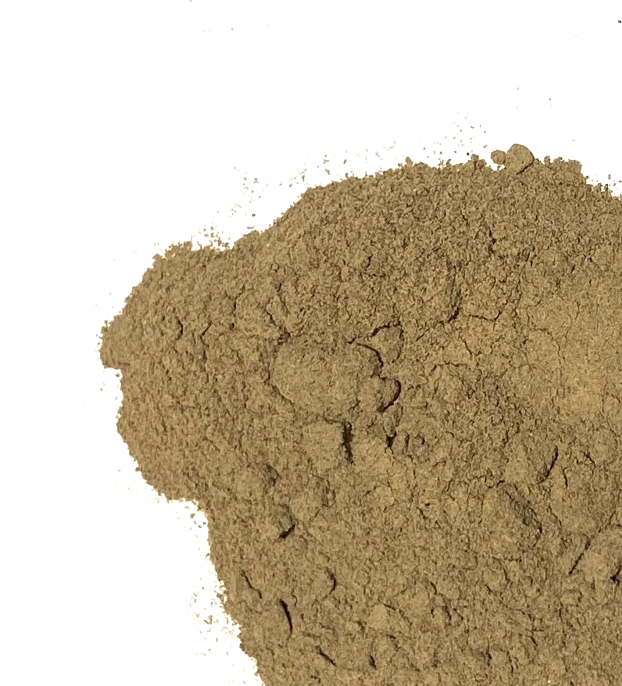 Bladderwrack Powder