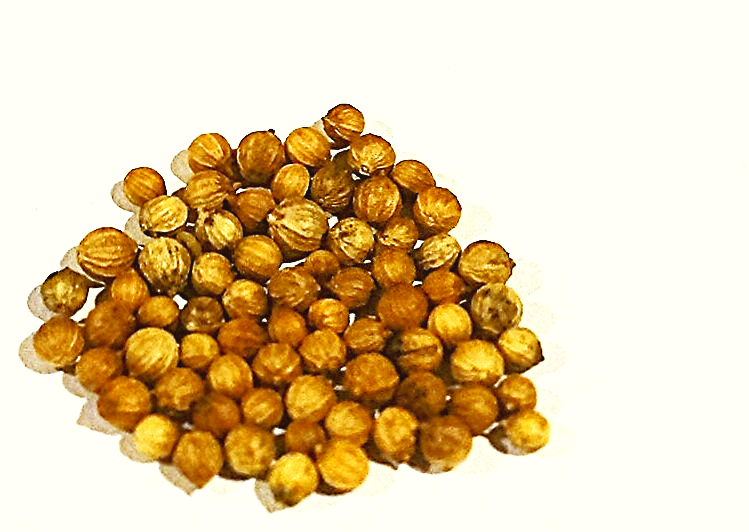 Coriander Seed Whole