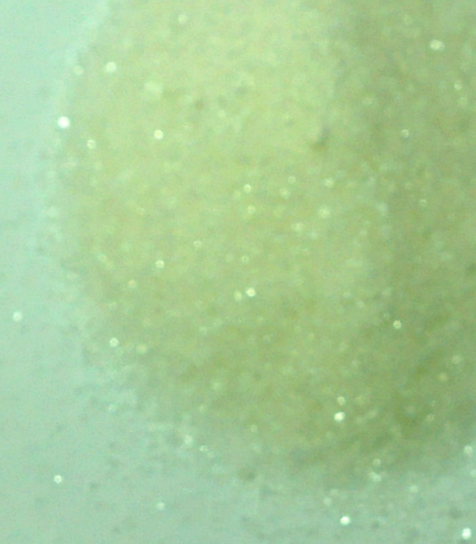 L-Glycine Powder