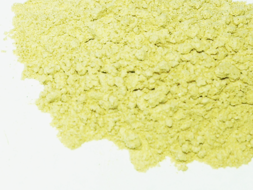 Dong quai root Powder