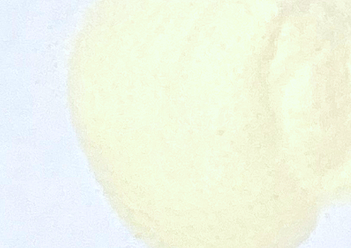 Coconut Water Powder