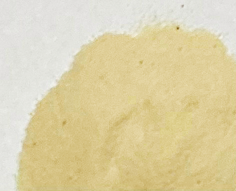 Kiwi Fruit Powder