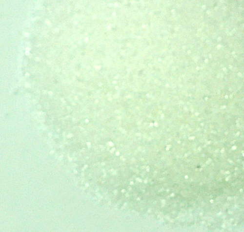 Glucosamine Powder HCL
