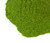 Stevia Leaf Powder