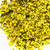 Elderberry Flowers Whole
