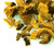 Licorice Root Cut and Sifted