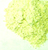 Bentonite Clay Powder