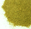 Pumpkin Seed Powder