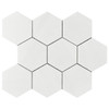 Dolomite Marble 4" Hexagon Mosaic Tile Honed