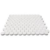 Polished Dolomite Penny Round Mosaic Tile