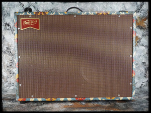 2022 Benson Chimera Reverb Combo - Aunt Gertie 2022 Benson Chimera Reverb Combo - Aunt Gertie