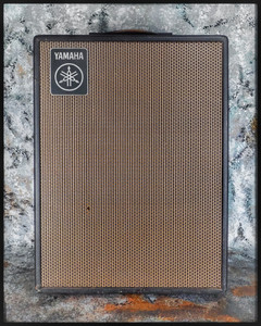 Yamaha TA-20 Solid State Combo Amplifier (1968-1972)