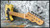 LSL Tbone SS - Trans Butterscotch LSL Tbone SS - Trans Butterscotch