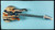 Wayak Guitars Cenote