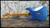 2025 Dechow Coodercaster