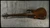 2016 Emerald Guitars FLOW 5-String Carbon Fiber Bass — Mint w/ Hiscox Case — Made in Ireland