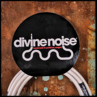Divine Noise 10' ST-ST Instrument Cable (White)