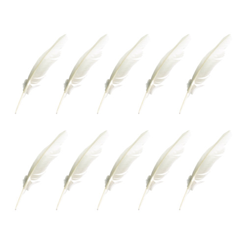 Jerusalem Marketplace VBS Feather Quills (pkg of 10) Group Publishing