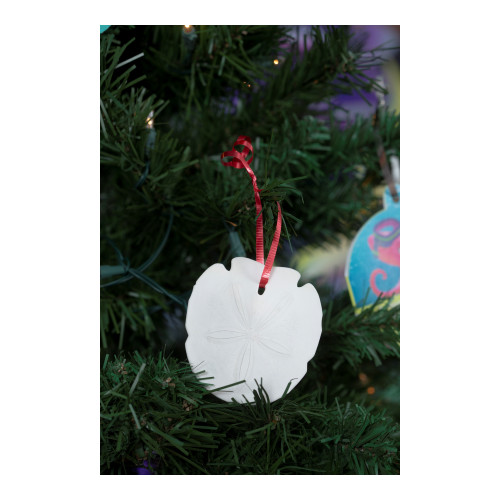 Scuba Christmas Giant Sand Dollar (pkg 50) Group Publishing
