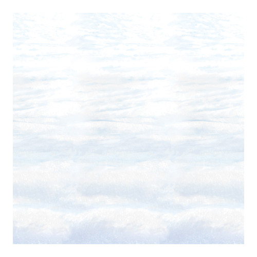 True North VBS Snowscape Plastic Backdrop Group Publishing