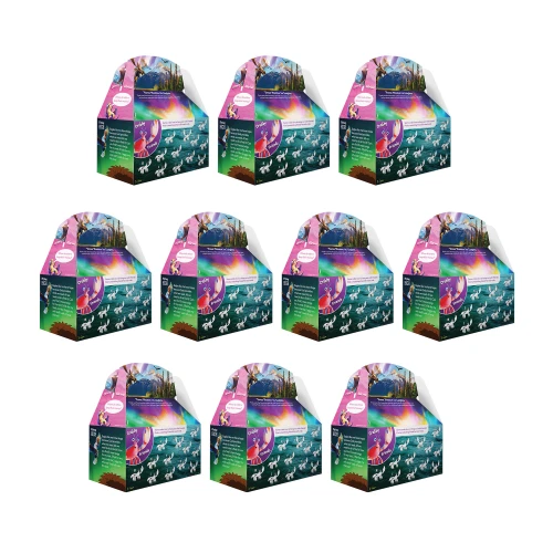 True North VBS Paper Boxes (Pkg of 10) Group Publishing