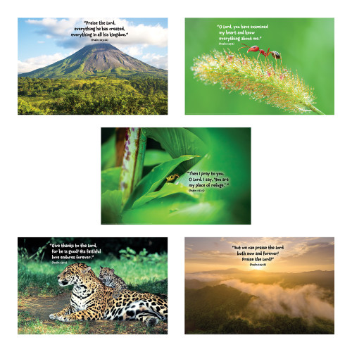Rainforest Falls VBS Bible Verse Posters (set of 5) (22" x 34") Group Publishing