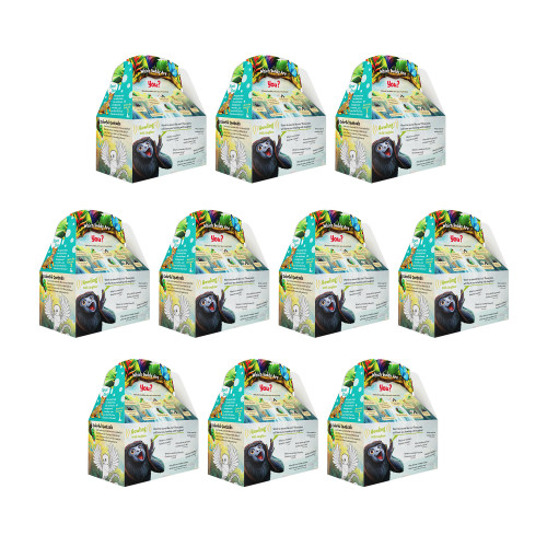Rainforest Falls VBS Paper Boxes (pkg of 10) Group Publishing