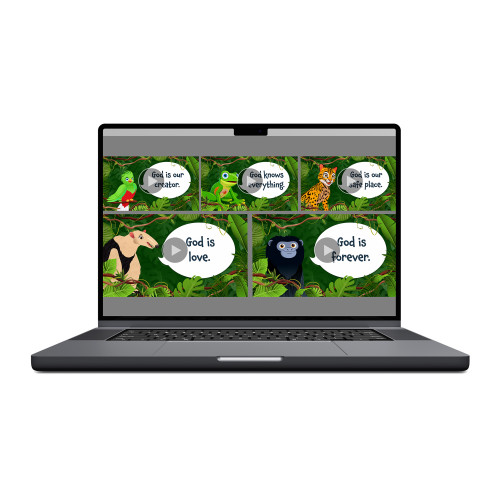 Rainforest Falls VBS Buddies Intro Videos Download - MP4 Group Publishing