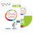 Simply Loved Elementary Buddy Video DVD - Quarter 5 Group Publishing