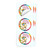 Simply Loved Bible Memory Buddy Sticker Pack - Quarter 7 - LuLu the Golden Monkey Group Publishing