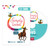 Simply Loved Pre-K and K Buddy Video DVD - Quarter 11 Group Publishing