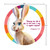 Simply Loved Bible Memory Buddy Sticker Pack - Quarter 12 - Jet the Desert Hare