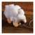 Hometown Nazareth VBS Wandering Toy Sheep Kit (pkg of 10)