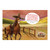 Yee-Haw Take-Home Music Video Streaming Card Group Publishing