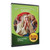Make Yourself at Home in Rome VBS DVD