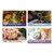 Team Family Year 3: Christmas PowerPak: Calm & Bright (10 Pack)