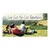 Lifetree Cafe - Low-Cost No-Cost Adventures: And Enrich Your Relationships Along the Way Group Publishing