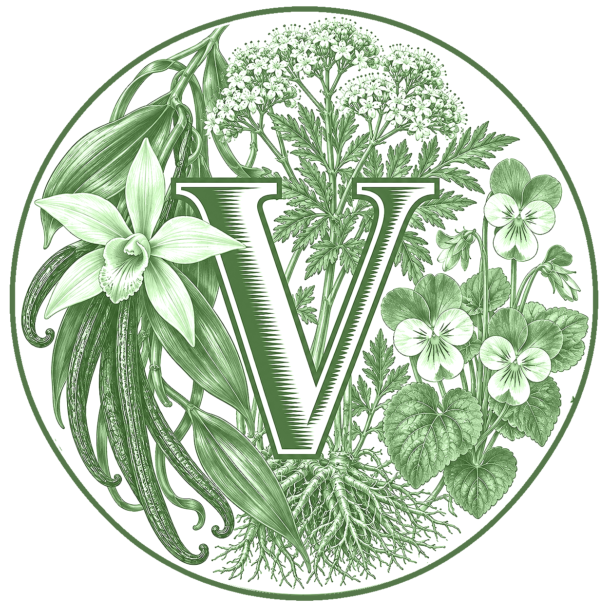 V