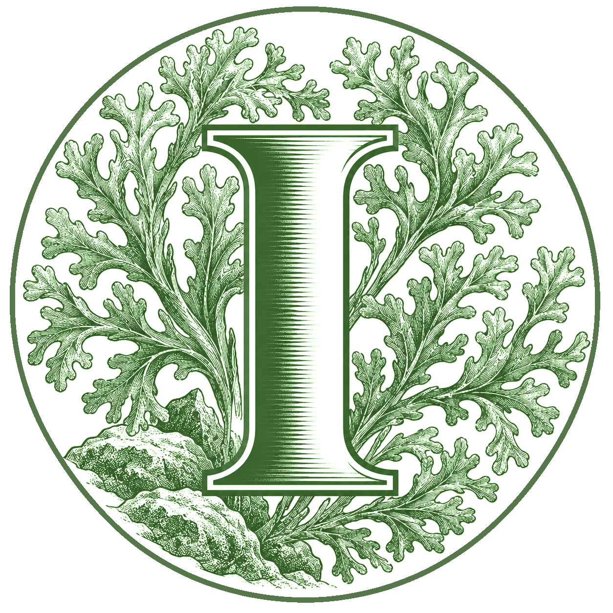 I