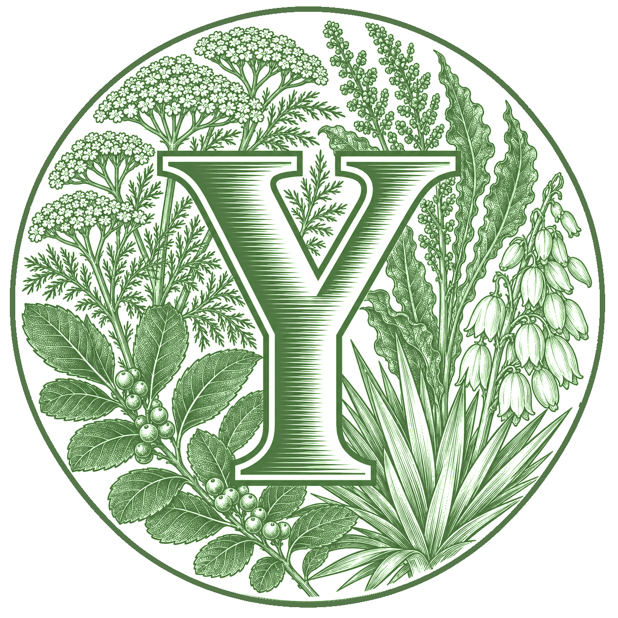 Y